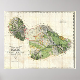 Poster Carte murale 1885 de De Witt Alexandre de Maui,