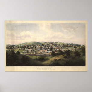 Poster Carte panoramique antique de Staunton Virginia 185