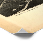 Poster Carte panoramique Danbury Connecticut 1884 (Coin)