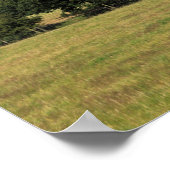 Poster Carte postale (Coin)