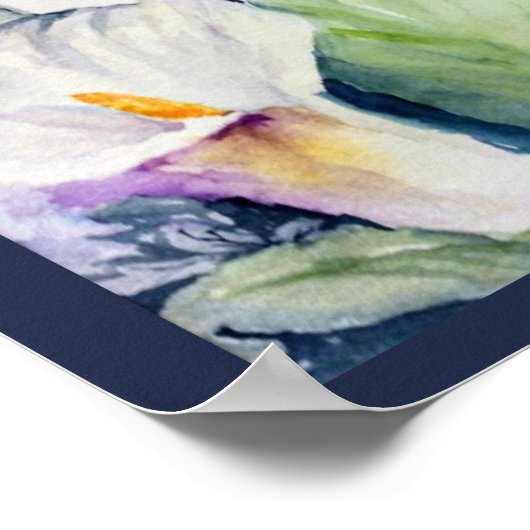 Poster Carte postale Aquarelle trois cals blancs (Coin)