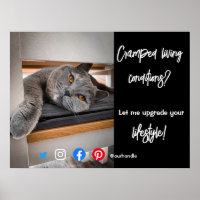 carte postale de l'immobilier cramponné chats viva