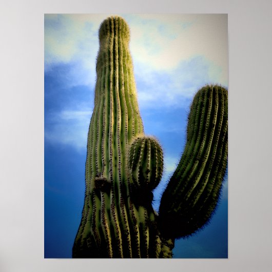 Poster Carte postale de Saguaro Cactus High (Devant)