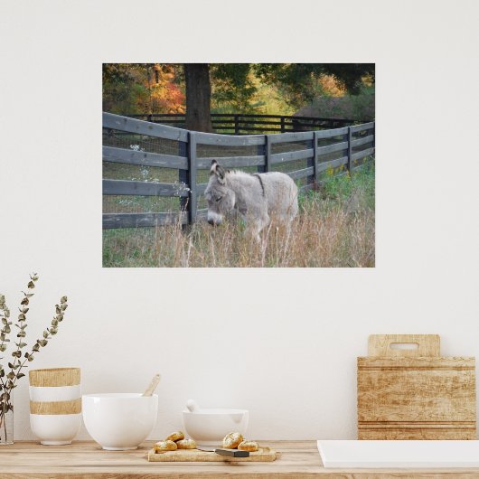Poster Carte postale Donkey dans un champ d'automne (Cuisine)