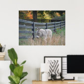 Poster Carte postale Donkey dans un champ d'automne (Bureau à domicile)