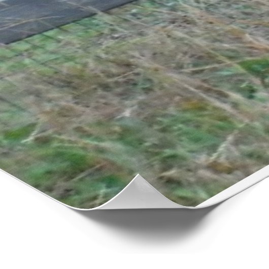 Poster Carte postale Donkey dans un champ d'automne (Coin)