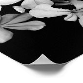 Poster carte postale en noir et blanc (Coin)
