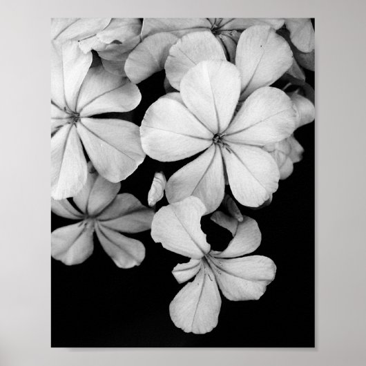 Poster carte postale en noir et blanc (Devant)