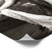 Poster Carte postale française du début des années 1900 (Coin)