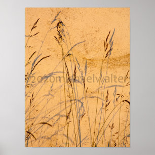 Poster Carte Postale Gris Et Ombres D'Été