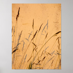 Poster Carte Postale Gris Et Ombres D'Été