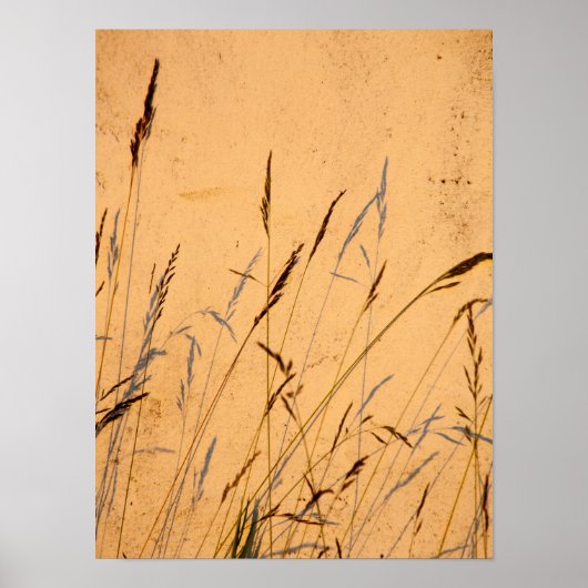 Poster Carte Postale Gris Et Ombres D'Été (Devant)