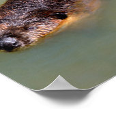 Poster Carte postale T-Shirt Co (Coin)