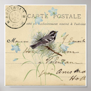 Poster Carte postale vintage Bleu Oiseau