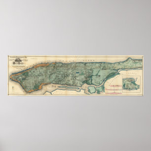 Poster Carte sanitaire et topographique de New York City