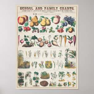 Poster Carte scolaire vintage pour l'enseignement à domic