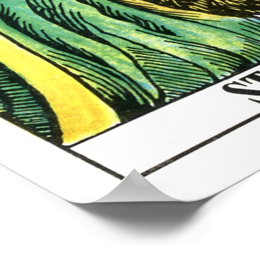 Poster Carte Tarot Force (Coin)