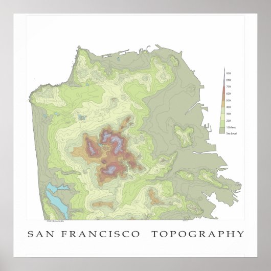 Poster Carte topo de San Francisco - Blanc 24x24 (Devant)