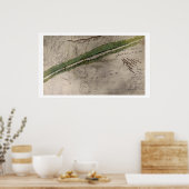 Poster Carte topographique du champ de bataille du Litt (Cuisine)