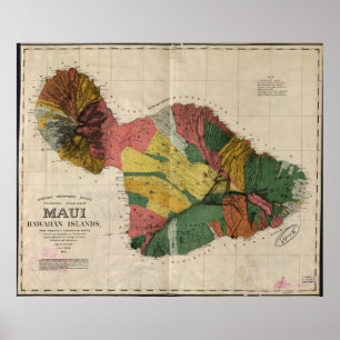 Poster Carte vintage de Maui Hawaii (1885)
