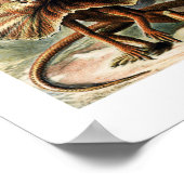 Poster Carte vintage des lézards Ernst Haeckel (Coin)