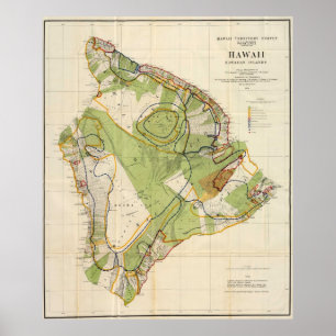 Poster Carte vintage d'Hawaï Island (1906)
