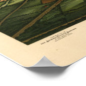 Poster Carte vintage Sandusky Ohio 1898 (Coin)