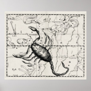 Poster Cartes célestes des constellations de l'astronomie