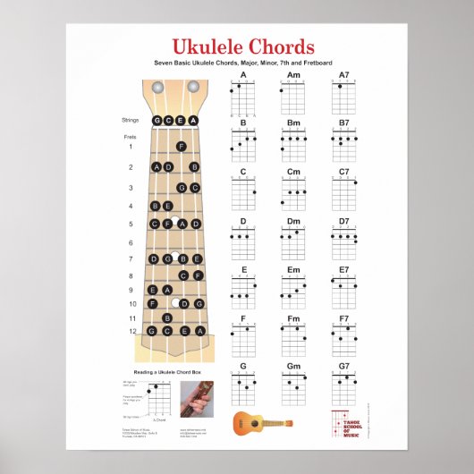 Poster Cartes de doigts Ukulele Chords, Fretboard avec no (Devant)