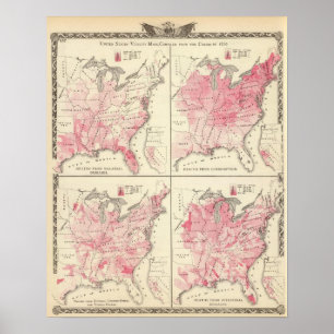 Poster Cartes de vitalité des États-Unis