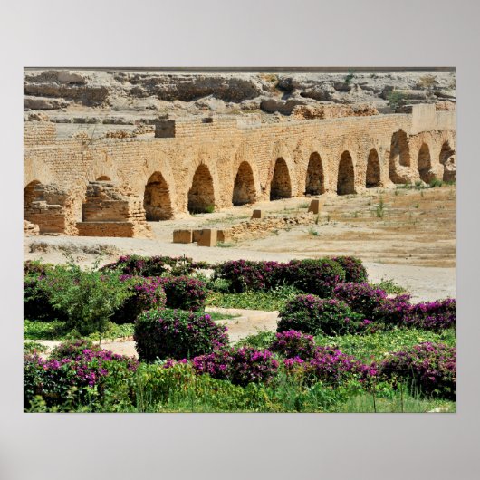Poster Carthage ancienne ville punique, détruite et (Devant)