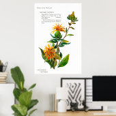 Poster Carthamus Tinctoria (Bureau à domicile)