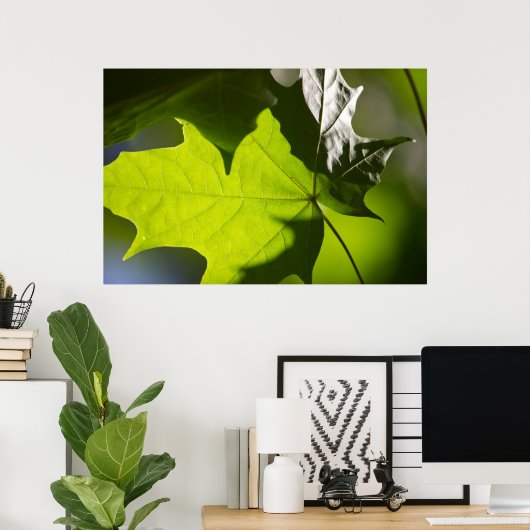 Poster Carulmare Maple Leaf CC0041 (Bureau à domicile)