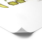 Poster Carum carvi (carvi) (Coin)