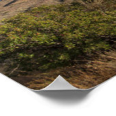 Poster Casa Grande Peak, Bassin de Chisos, Big Bend (Coin)