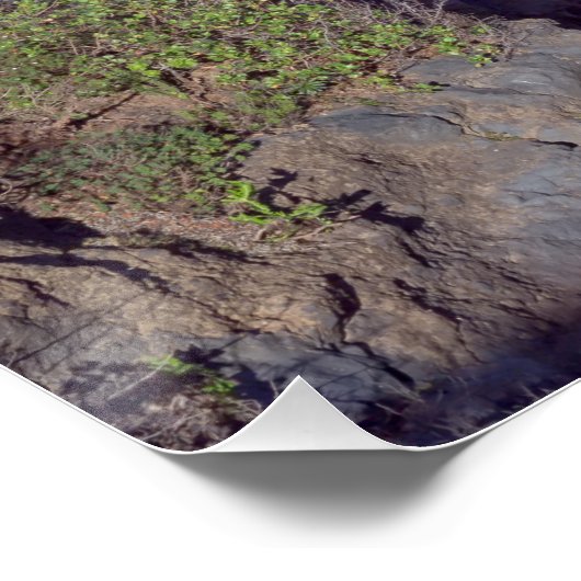 Poster Casa Hamilton (Coin)