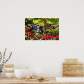 Poster Cascade (Cuisine)