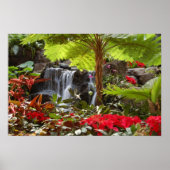 Poster Cascade (Devant)