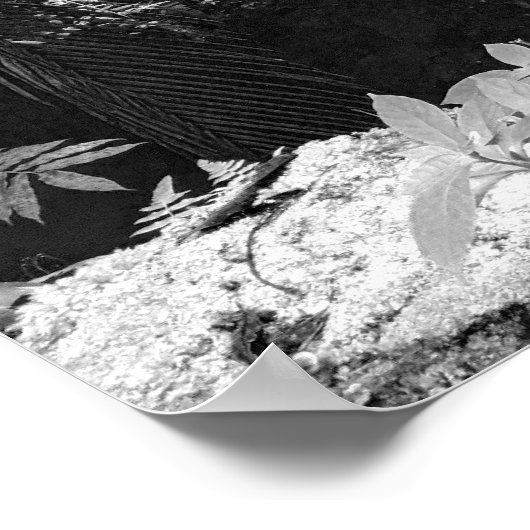 Poster Cascade (Coin)