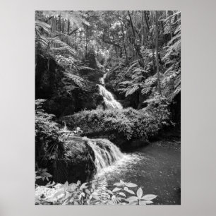 Poster Cascade