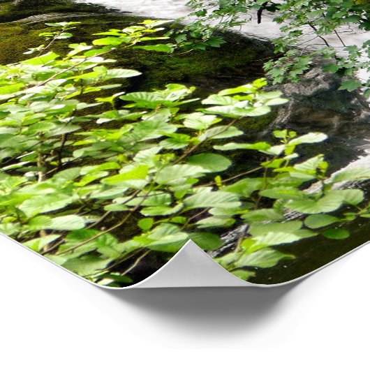 POSTER CASCADE (Coin)