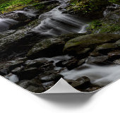 Poster Cascade (Coin)