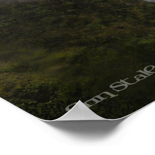 Poster Cascade (Coin)