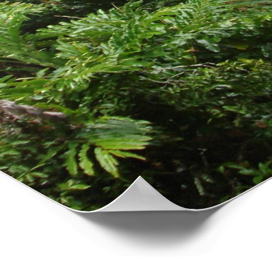 Poster Cascade (Coin)