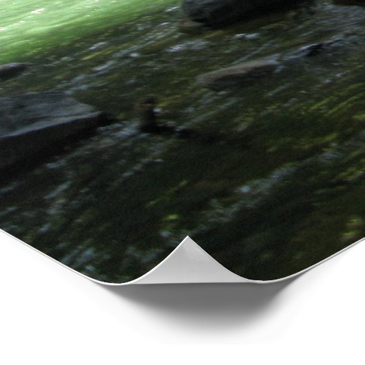 Poster Cascade (Coin)