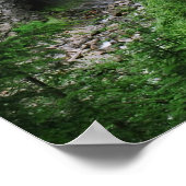 Poster Cascade (Coin)