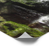 Poster Cascade (Coin)