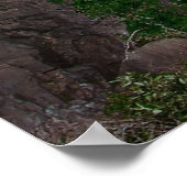 Poster Cascade (Coin)