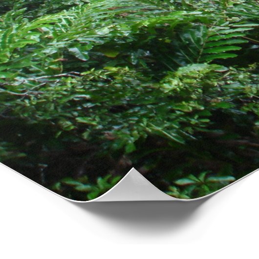 Poster Cascade (Coin)