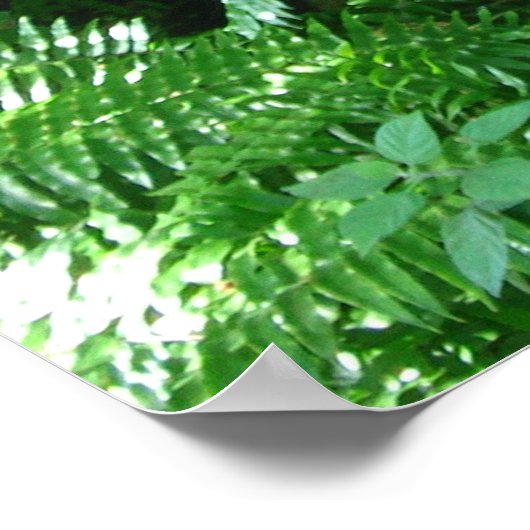 Poster cascade (Coin)